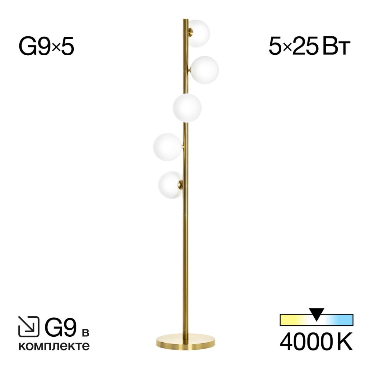 card-img