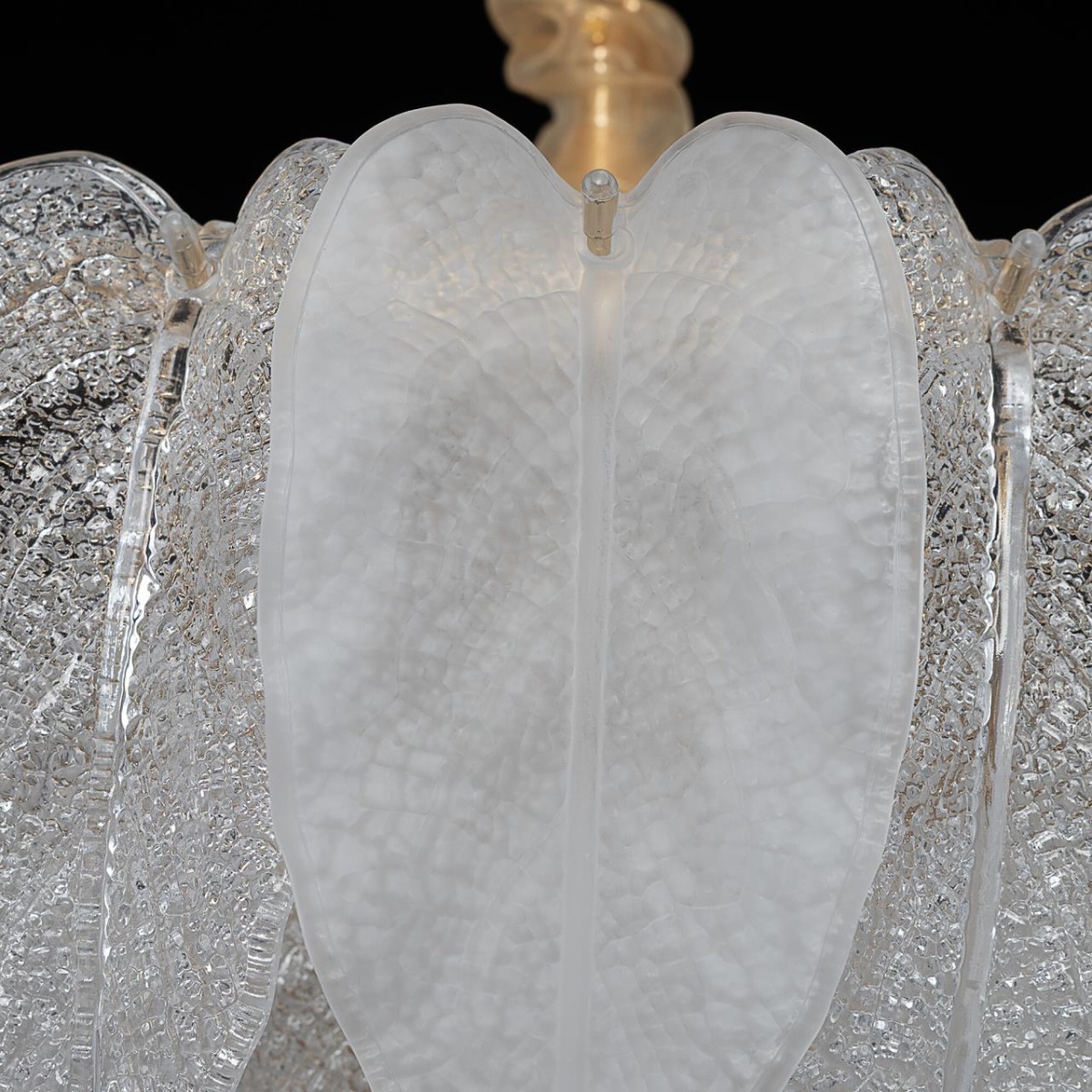 card-img