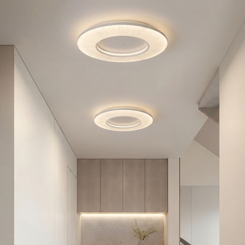 Потолочный светильник Eurosvet 101003 LED белый