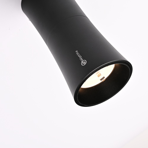 Потолочный светильник Zyppa Black H15 314097-26