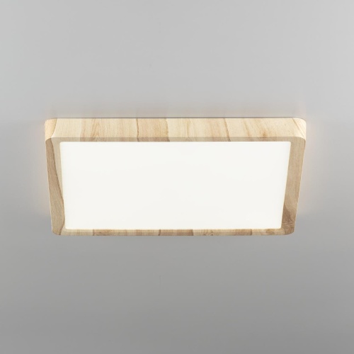 CL738K242V Бейсик Клен Св-к Накл. LED 24W*Мульти
