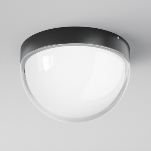 Уличный потолочный светильник Outdoor O438CL-L12GF3K