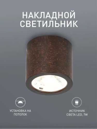 Потолочный светильник 2809-1C