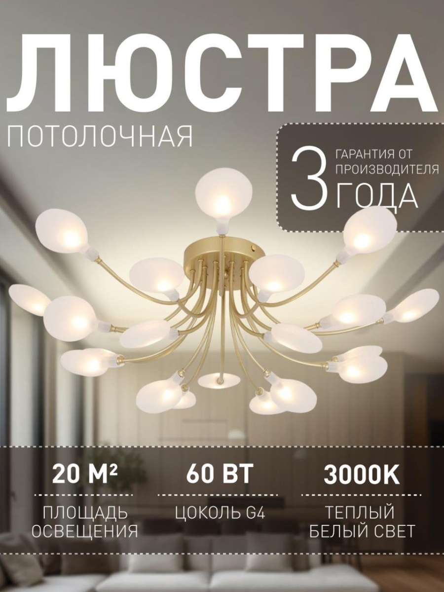 card-img