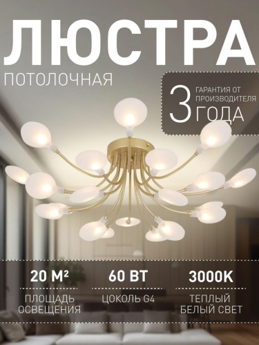 Потолочная люстра 4197-20C