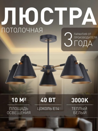 Потолочная люстра 2844-5P