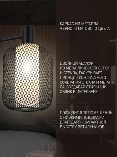 Потолочная люстра 4602-6C