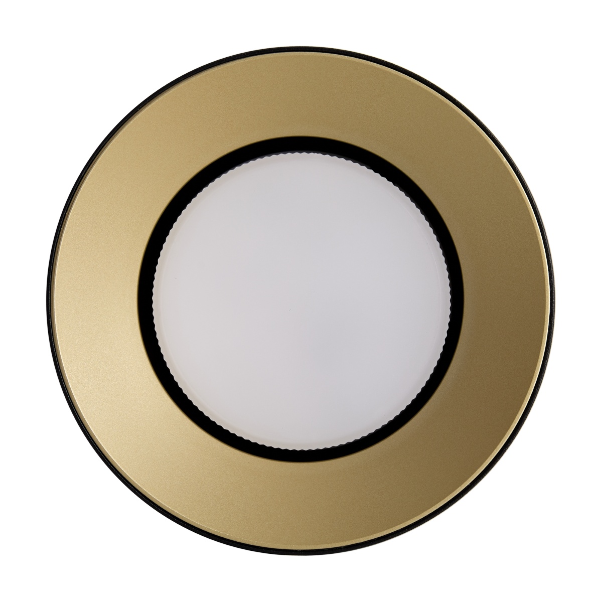 card-img