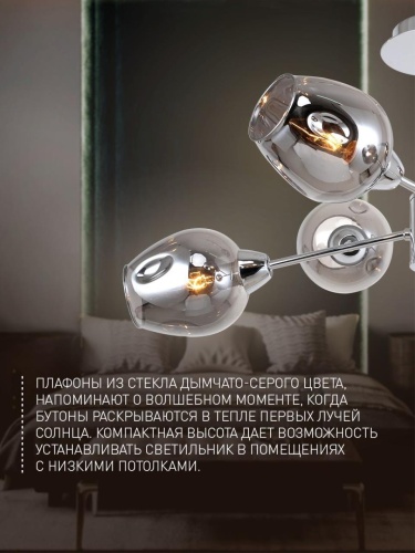 Потолочная люстра 2657-6U