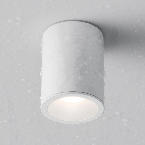Потолочный светильник Technical C029CL-01W
