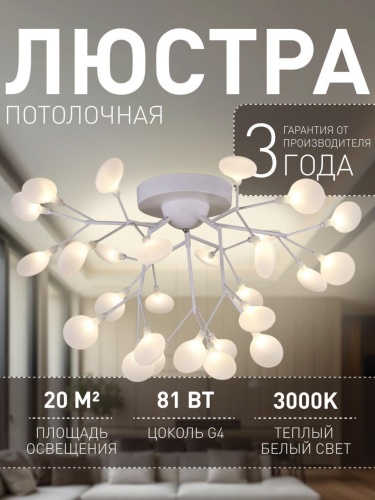 Потолочная люстра 2479-9U