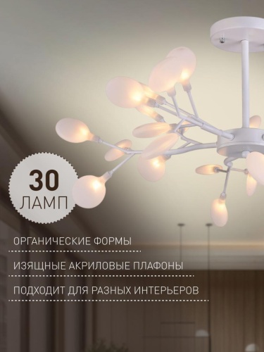 Потолочная люстра 2479-10P