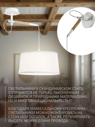 Настенно-потолочный светильник 3005-1P