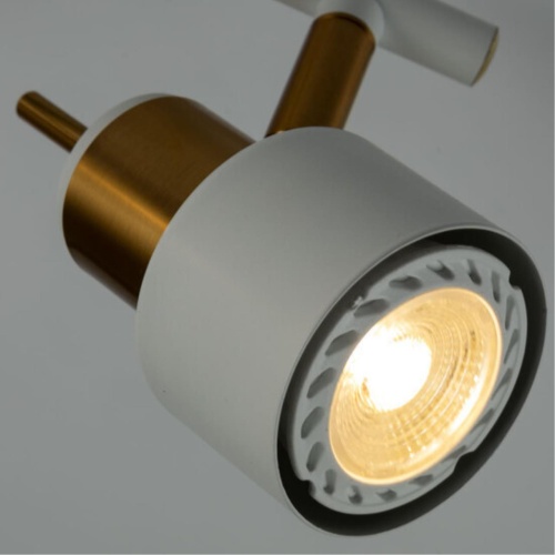 Arte lamp A1906PL-2WH СВЕТИЛЬНИК ПОТОЛОЧНЫЙ