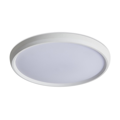 Потолочный светильник Freya FR6211CL-L24W